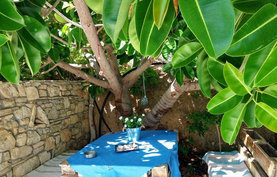 Sun Day Villa Achlia 外观 照片